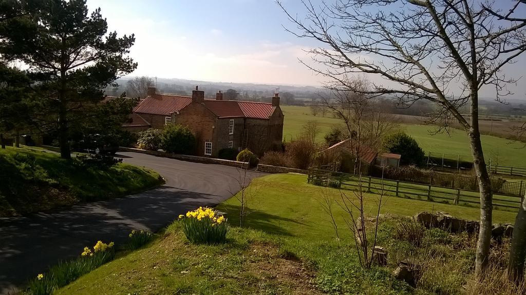 Kirkby Fleetham Little Holtby B&B מראה חיצוני תמונה